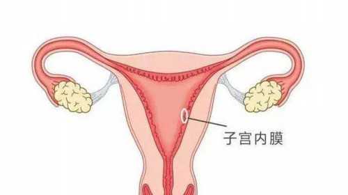青浦成功代孕网,乌鲁木齐有没有可以做三代试管婴儿的正规公立医院？