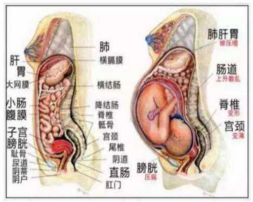 郑州代孕多少钱_赴泰国生孩子的费用_「输卵管不